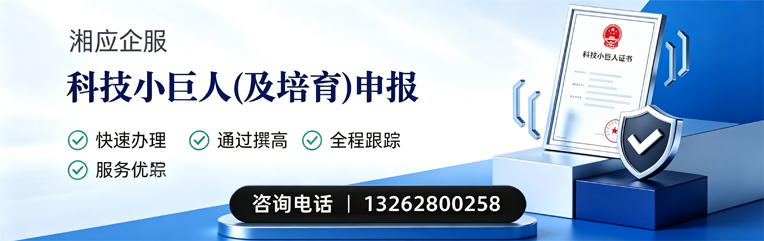 鞍山科技小巨人及培育企业申报服务