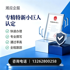 鞍山专精特新小巨人申报服务