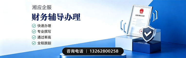 鞍山财务辅导申请服务