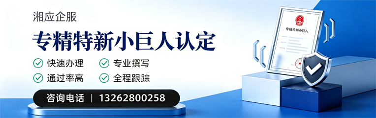 鞍山专精特新小巨人申报服务
